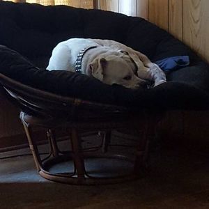 Meet your Posher, Troy